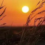 Santa Rita דירה